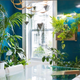 Illustration for article titled The Best Places to Buy Houseplants Onlineem/em